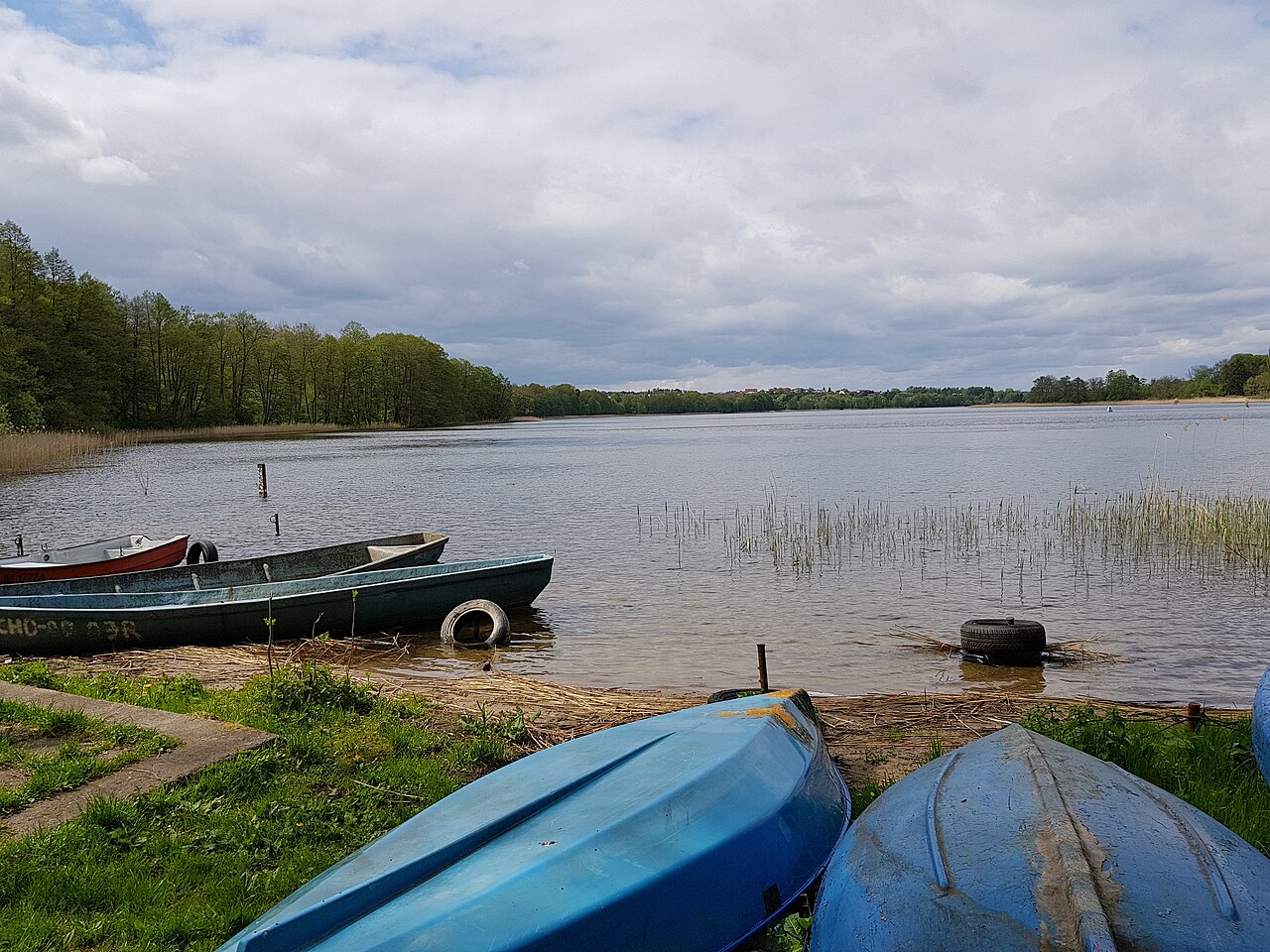 Jezioro Kortowskie na fotografii z 2020 roku. Materiał archiwalny ilustrujący miejsce badań przywołane przez UWM, nie dokumentacja kampanii NATUREisFUTURE.