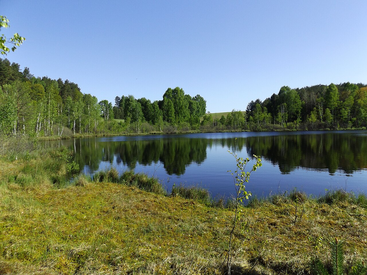 Leśne jeziorko koło Gągławek przy linii kolejowej Olsztyn–Nidzica, maj 2015. Zdjęcie poglądowe okolicy, nie dokumentuje zapowiedzianego spaceru ani jego trasy.
