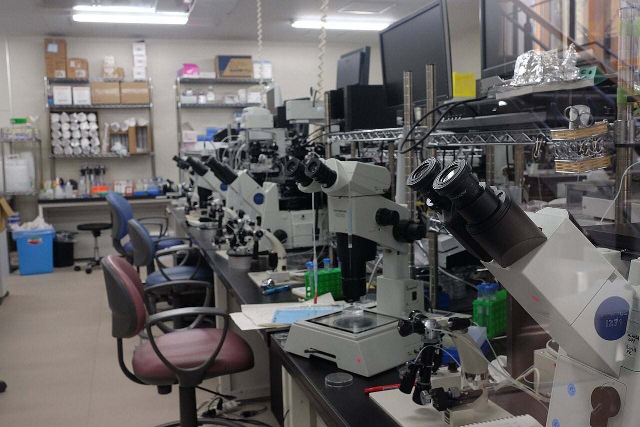 Wyposażenie laboratorium biologicznego w Japonii; zdjęcie archiwalne i poglądowe, nie przedstawia zajęć na UWM.